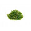 Chuka Wakame