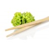 Wasabi