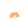 Sake Nigiri 
