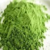 Tarwegras Poeder 250 gram