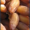 Dadels Deglet Nour 2 kg